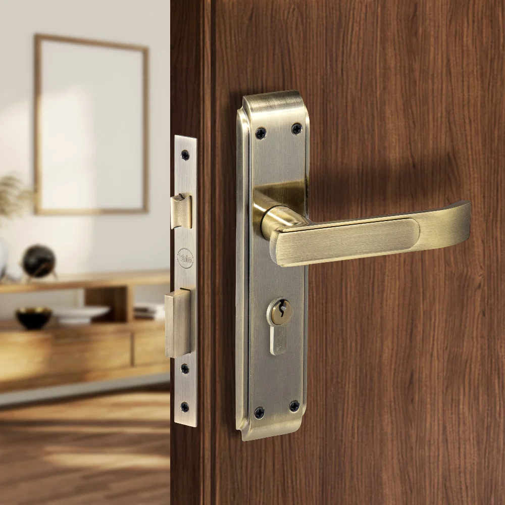 Door Handles — SHT-DWH-002